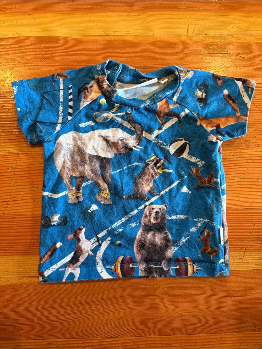 Molo Blue Animal Circus Short Sleeve Tee